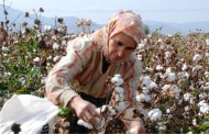 Çalışan Kadınların Yüzde 29,4'ü Tarımda Çalışıyor