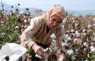 Yabancı İşçilerin İzin Başvuru sistemi