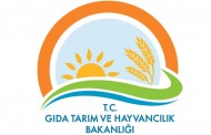 T.C. Ziraat Bankası A.Ş. ve Tarım Kredi Kooperatiflerince Tarımsal Üretime Dair Düşük Faizli Yatırım ve İşletme Kredisi Kullandırılmasına İlişkin Uygulama Esasları Tebliği (No: 2016/8)