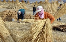 Tarım İstihdamı Arttı