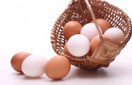 2016 Eylül Ayında 1,6 Milyar Yumurta Üretimi Gerçekleşti