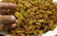 Okullarda Kuru Üzüm Dağıtım Kararı