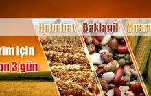 Hububat, Baklagil ve Mısırda Prim İçin Son Gün 29 Nisan 2016