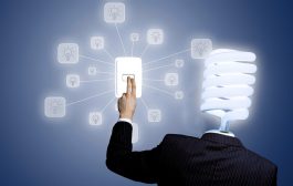 Yabancı Kontrollü Girişim İstatistikleri - 2024