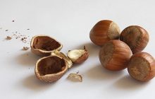 2016 Yılı Fındık Rekoltesi Tahmini