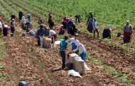 Tarımsal İşletme İşgücü Ücret Yapısı - 2024