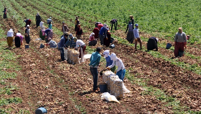 Ücretli Çalışan Sayısı Yıllık Yüzde 4,1 Arttı – Şubat 2024