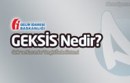 Geksis Nedir? Geksis Hakkında Bilinmesi Gerekenler