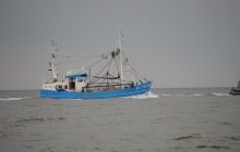 Geleneksel Balıkçılar Destekleme Kapsamına Alındı