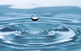 5. Uluslararası Su Forumu 5-6 Mayıs’ta Düzenlenecek