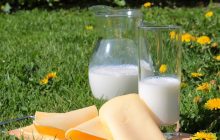 Temmuz 2020 Süt ve Süt Ürünleri Üretimi
