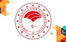 Tarımsal Girdi Fiyat Endeksi - Temmuz 2023
