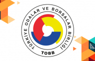 Kurulan-Kapanan Şirket İstatistikleri - Ekim 2024