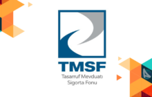TMSF Kayyım Olunan Şirketler