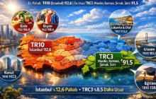 Bölgesel Satınalma Gücü Paritesi - 2024