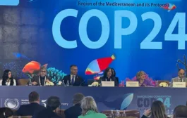 İstanbul, Akdeniz İklim Mücadelesinin Yeni Merkezi Oluyor