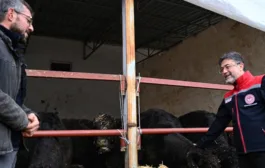 Bakan YUMAKLI: “Kırsalda Bereket Projesi ile Anaç Hayvan Sayısını Artırıyoruz”