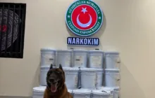 Gümrükler Muhafaza Ekiplerinden İlk 3 Ayda 21,8 Milyar Liralık Kaçakçılık Darbesi